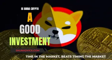 Shiba Crypto: Worthy Investment or Risky Business?