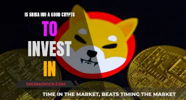 Shiba Inu Crypto: Worth Investing or Just a Meme?