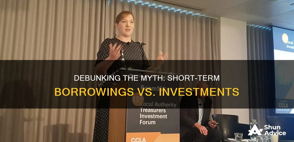 is short term borrowings the same as investments