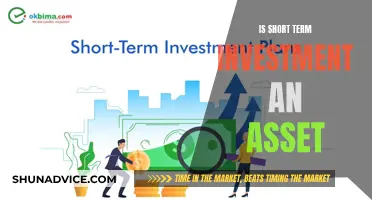 Unveiling the Potential: Is Short-Term Investment an Asset?