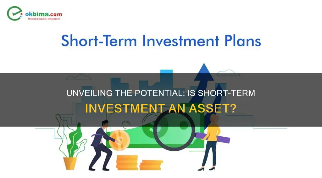 is short term investment an asset