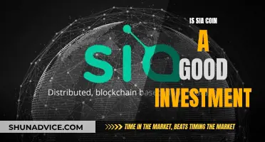 Sia Coin: A Smart Investment Decision?