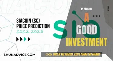 Siacoin: A Smart Investment Decision?