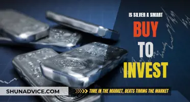 Silver's Shine: A Smart Investment Move?