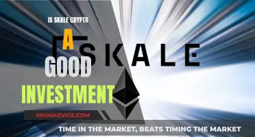 Skale Crypto: Worthy Investment or Risky Business?