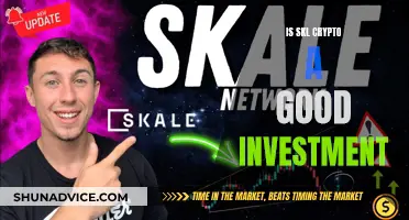 Should You Invest in SKL Crypto?