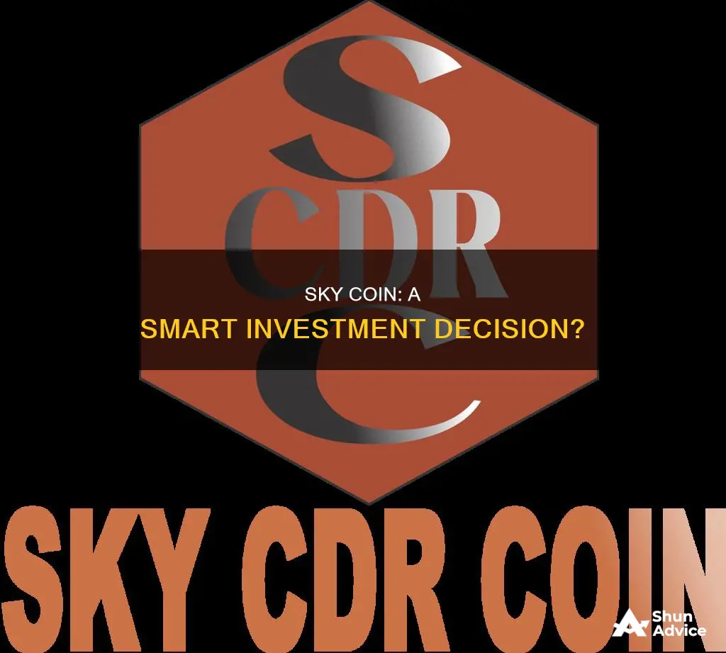 is sky coin a good investment