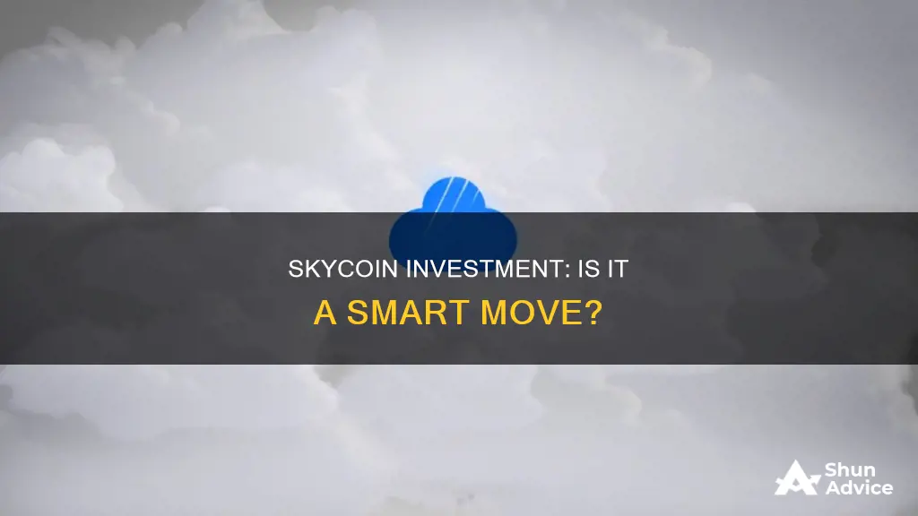 is skycoin a good investment