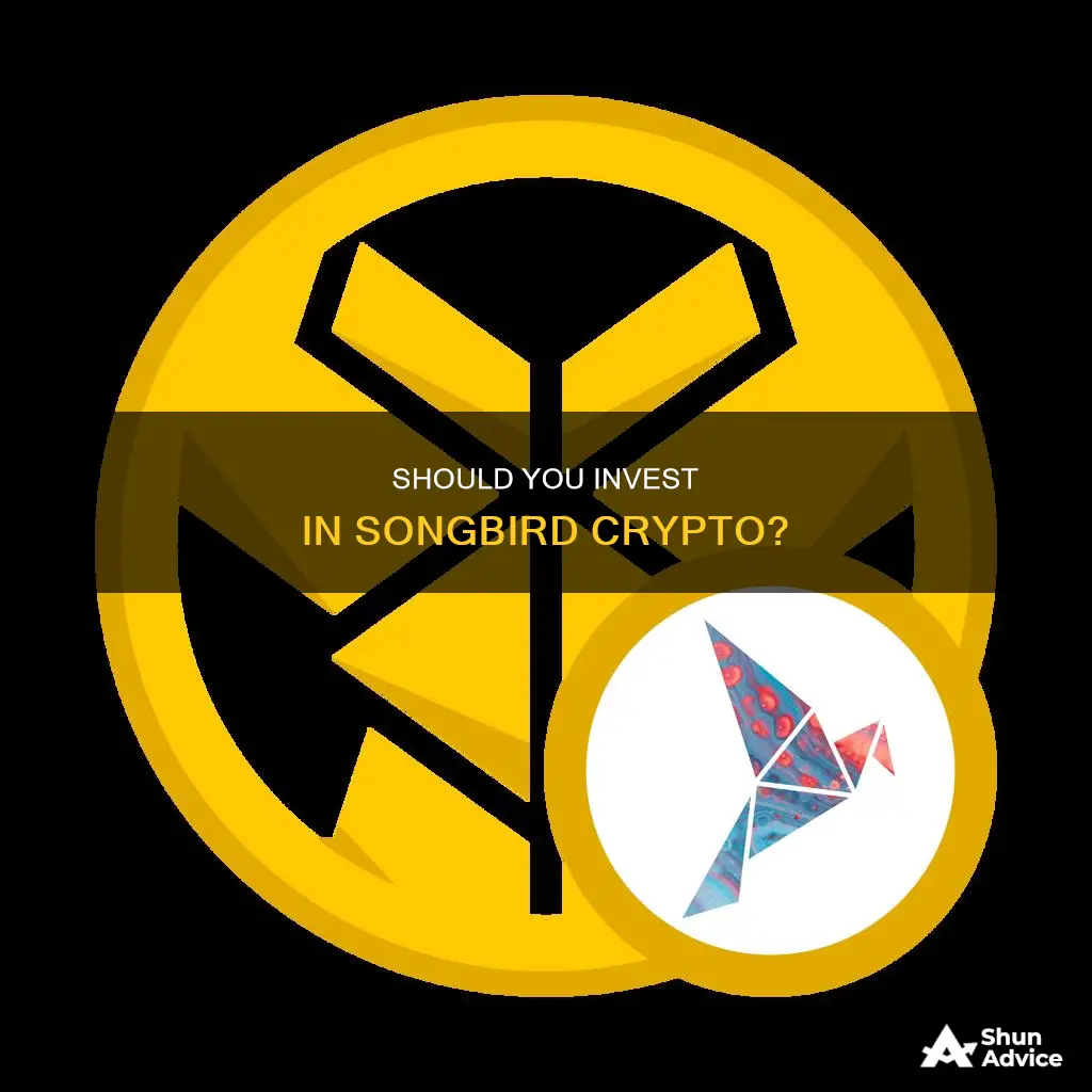 is songbird crypto a good investment