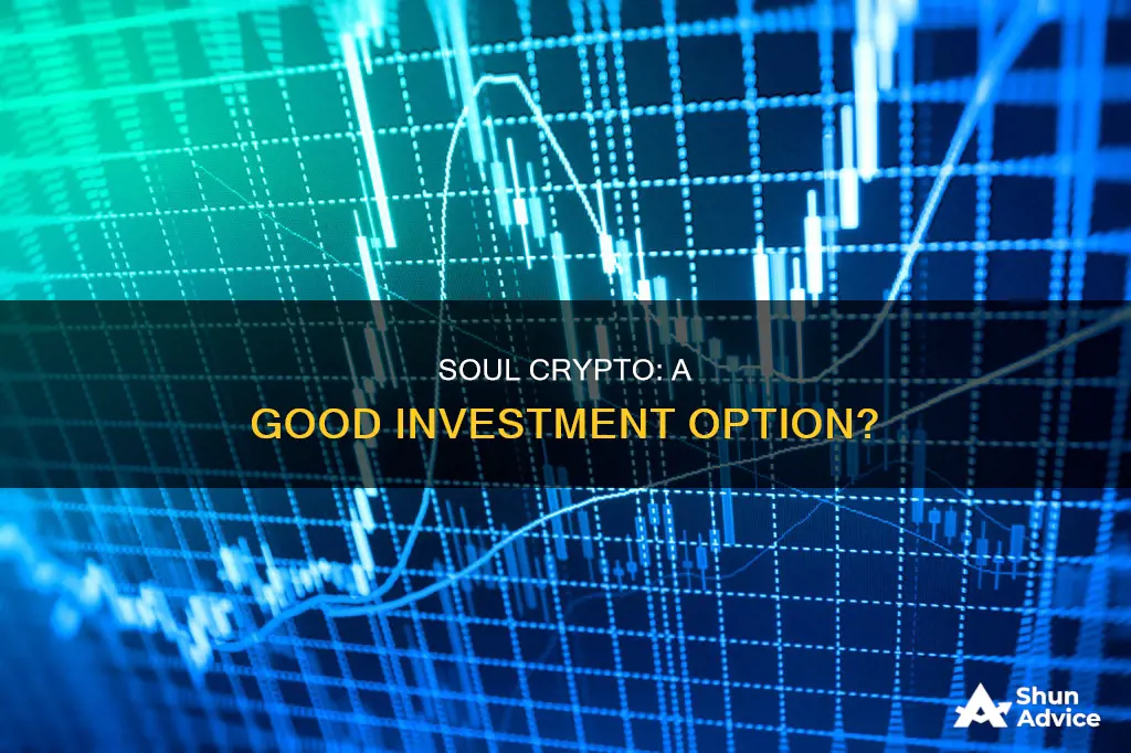 is soul crypto a good investment