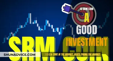 SRM Coin: A Smart Investment Decision?