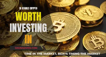 Stable Crypto: Worth Your Investment?