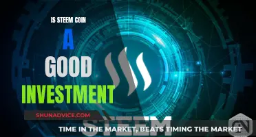 Steem Coin: A Smart Investment Decision?