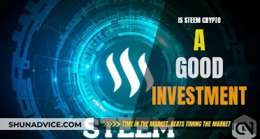 Steem Crypto: A Smart Investment Decision?