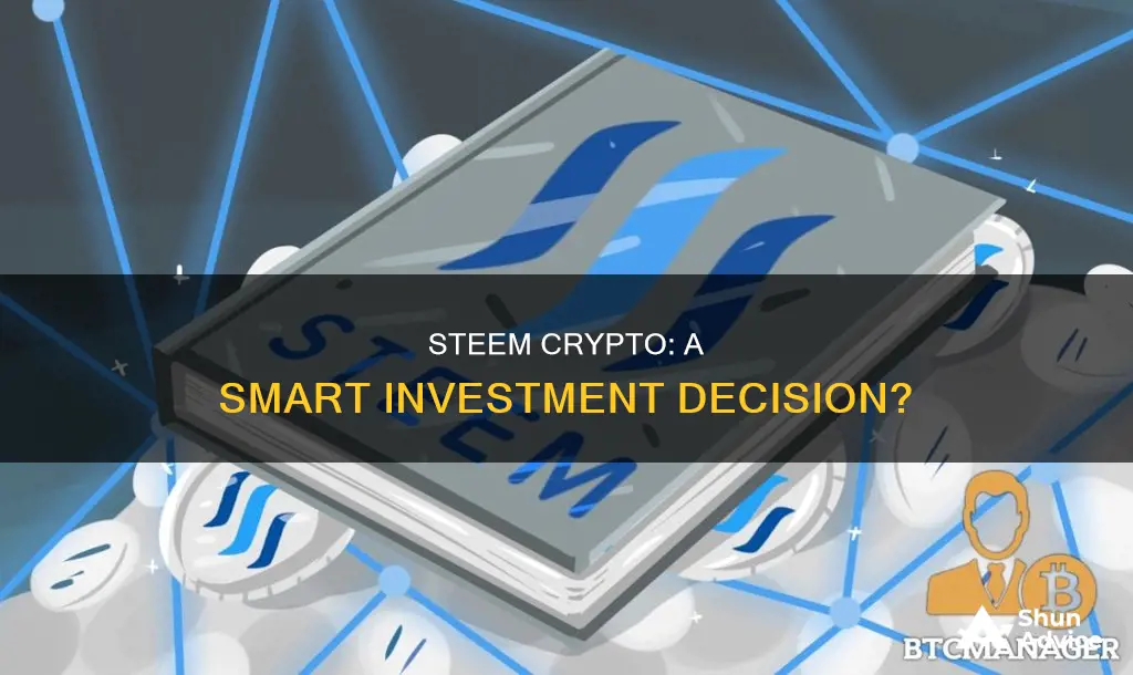 is steem crypto a good investment