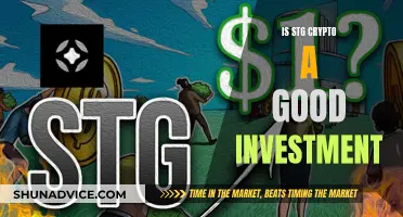 STG Crypto: Worthy Investment or Risky Gamble?