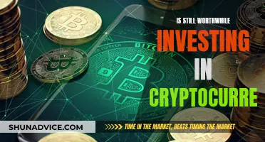 Cryptocurrency: Still Worth Investing?