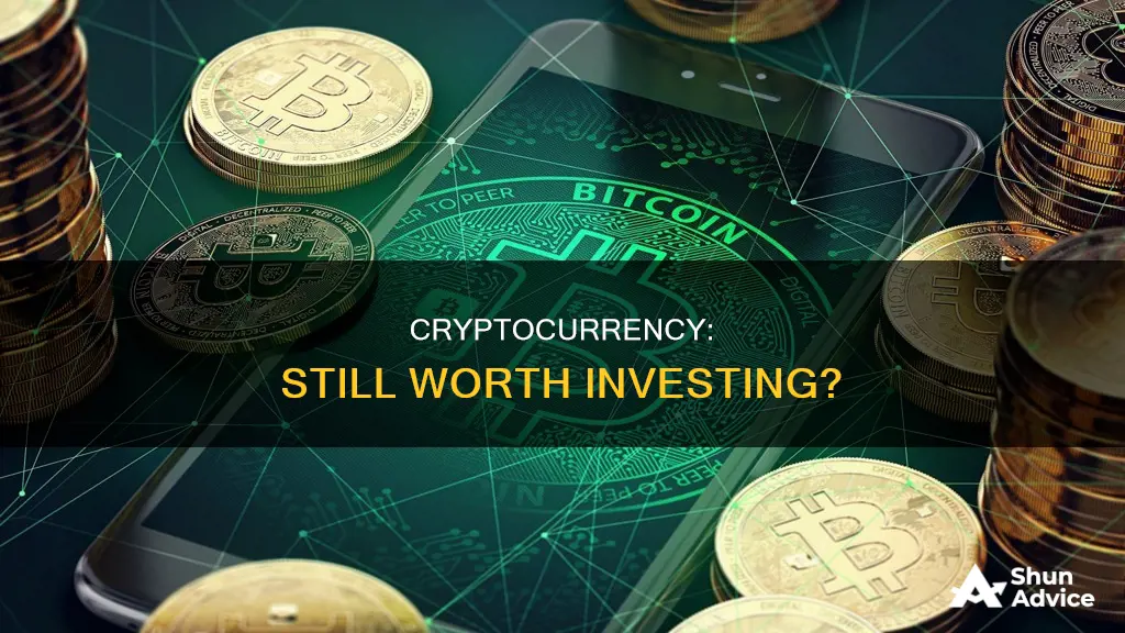 is still worthwhile investing in cryptocurrency