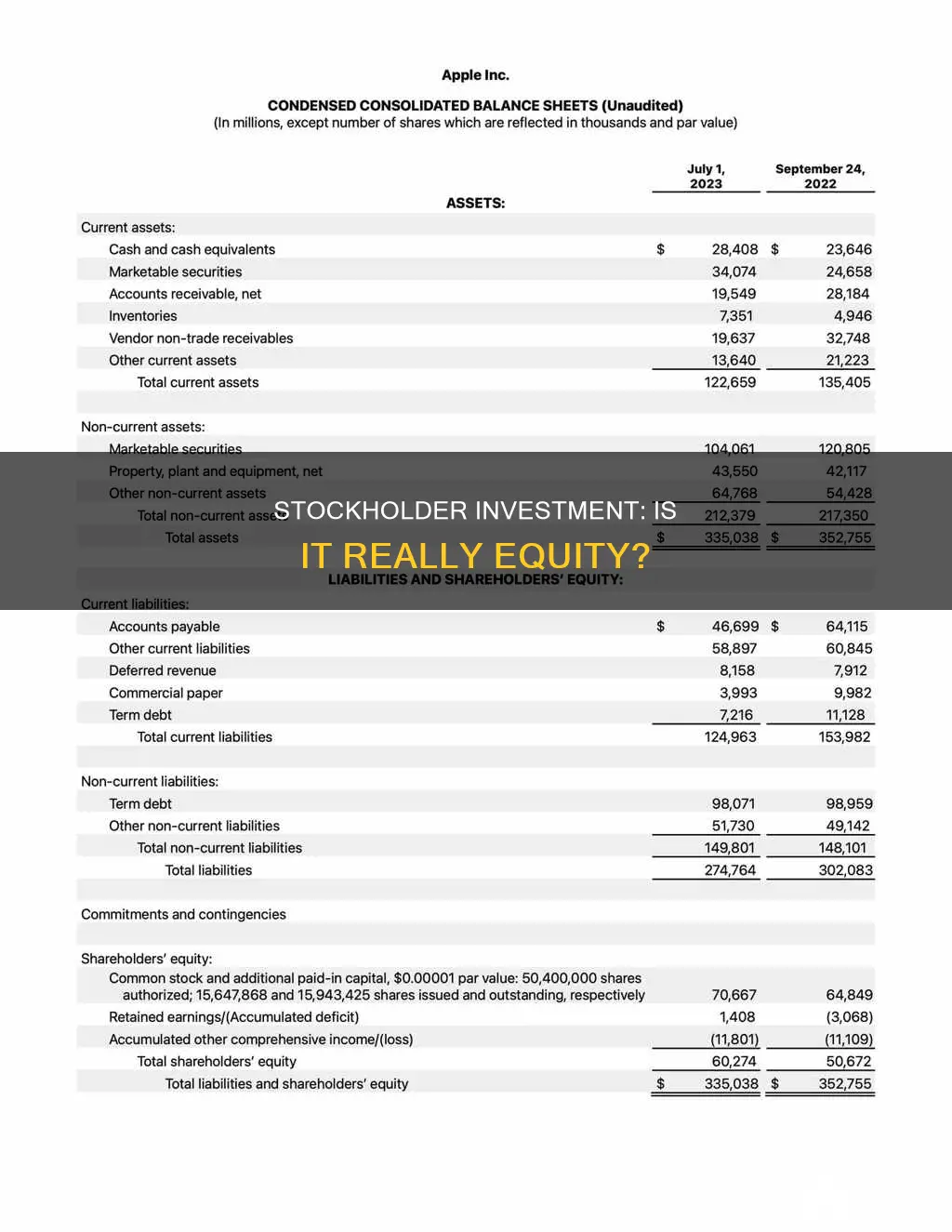 is stockholder investment considered equity