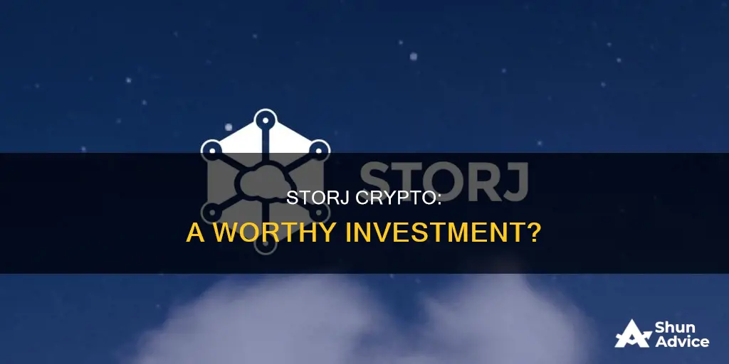 is storj crypto a good investment