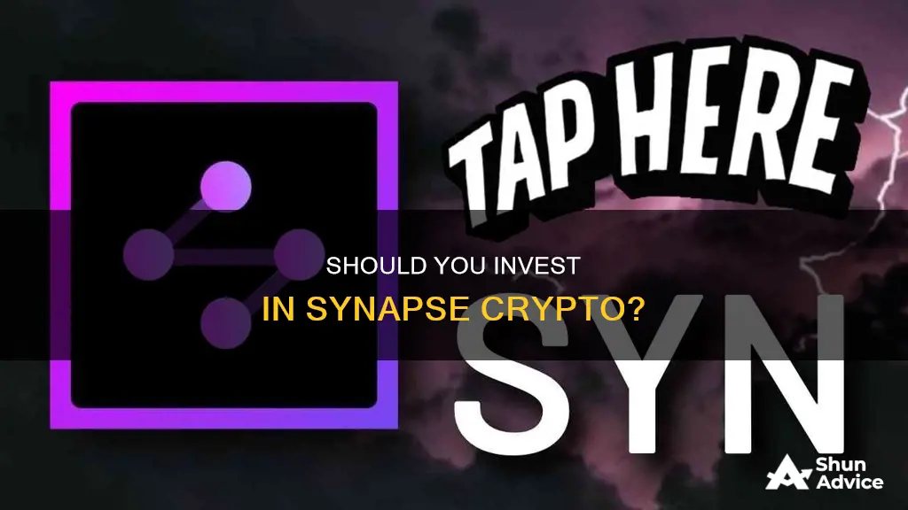 is synapse crypto a good investment