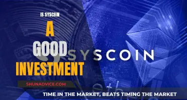 Syscoin Investment: Is It Worth Your Money?