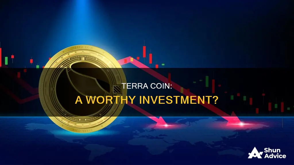 is terra coin a good investment