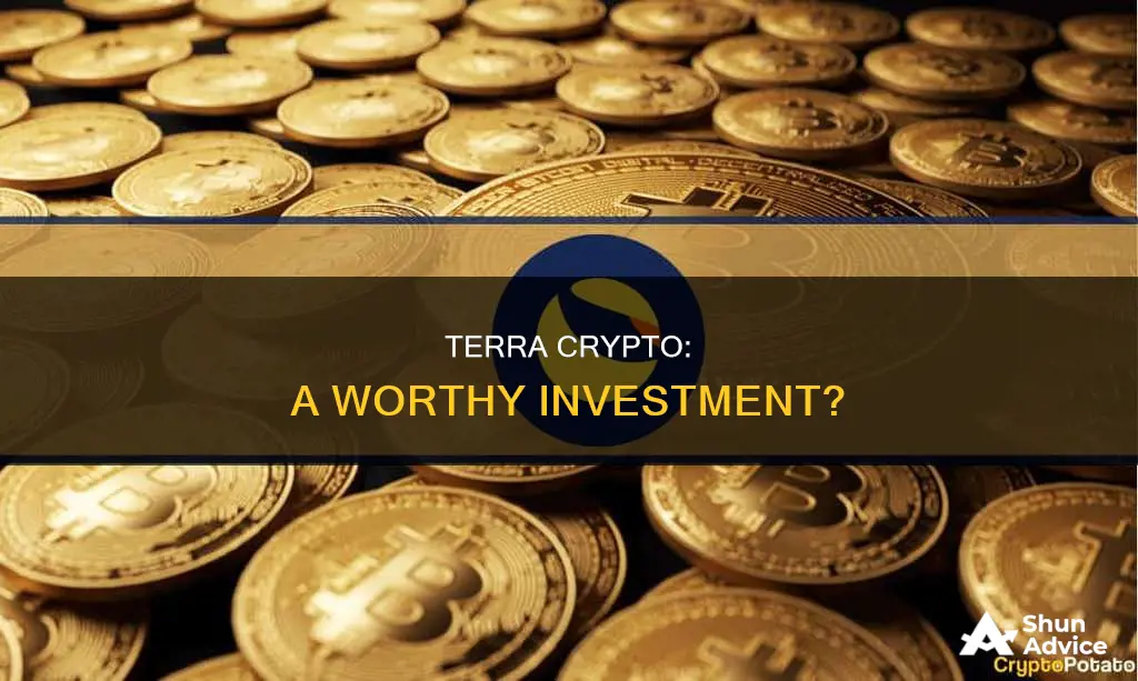 is terra crypto a good investment