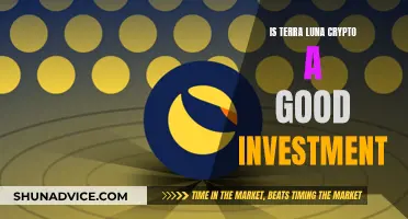 Terra Luna Crypto: A Worthy Investment?