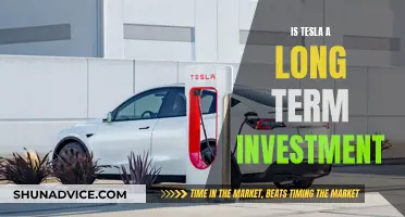 Tesla's Long-Term Potential: A Sustainable Investment?