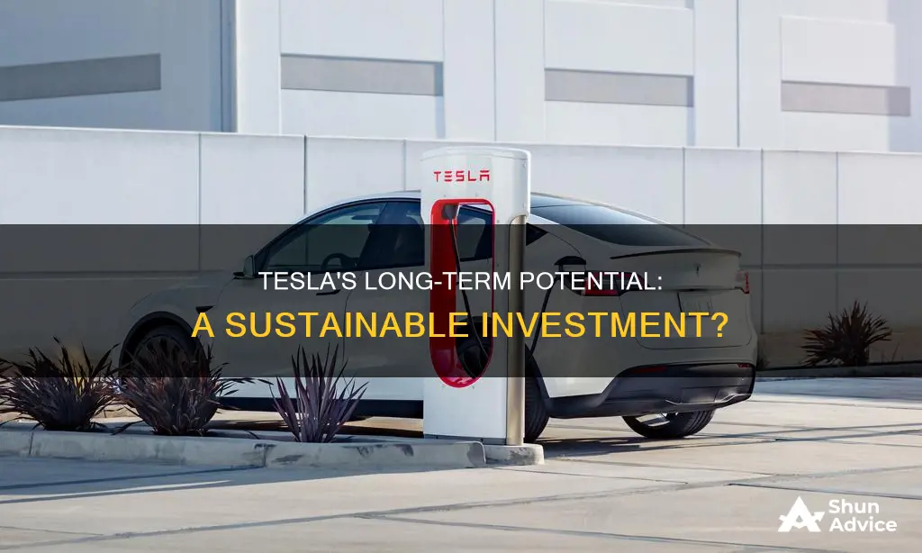 is tesla a long term investment