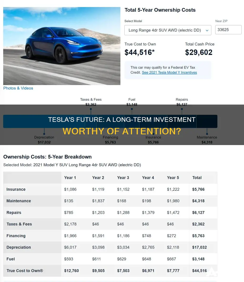 is tesla a safe long term investment