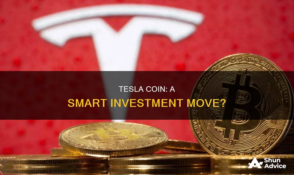 is tesla coin a good investment