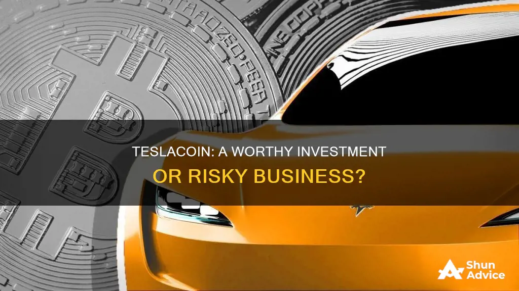 is teslacoin a good investment