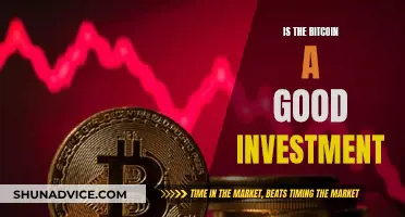 Bitcoin Investment: Worth the Risk?