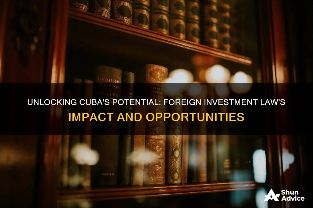 is the foreign investment law a game changer in cuba