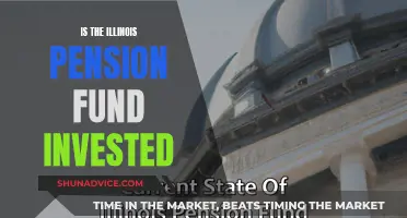 Illinois Pension Fund: Where is it Invested?