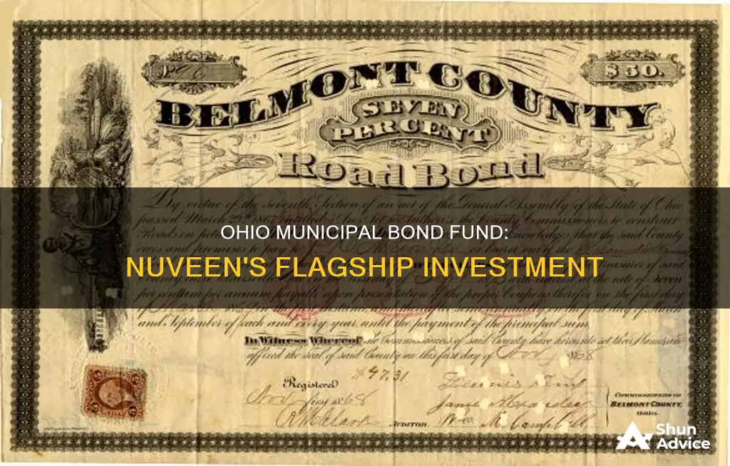 is the nuveen flagship municipal bond fund invested in Ohio