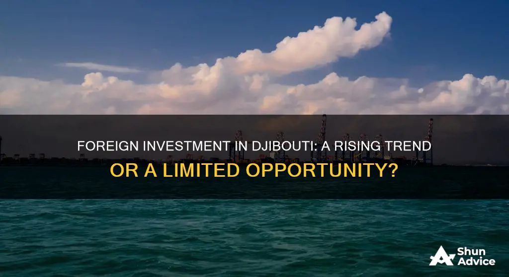 is there a lot of foreign investment in djibouti