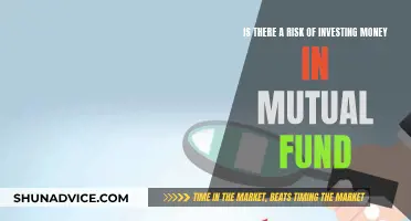 Mutual Fund Risks: Is Your Money Safe?