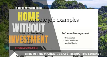 Uncover Legit Remote Jobs: No Investment Required!