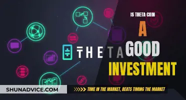 Theta Coin: Worthy Investment or Risky Gamble?