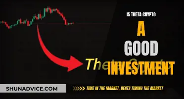 Theta Crypto: A Smart Investment Move?