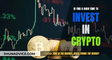 Should You Invest in Crypto Now?