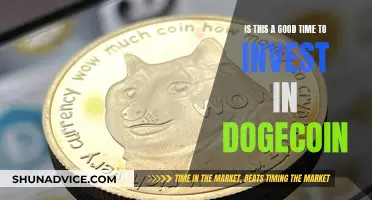 Dogecoin Investment: Worthwhile or Risky Move?