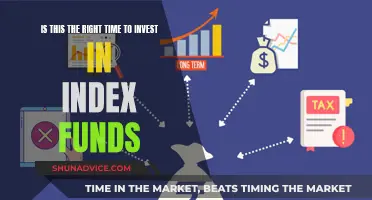 Index Funds: Right Time to Invest?