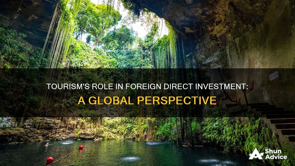 is tourism foreign direct investment