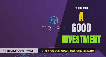 Tribe Coin: A Smart Investment Decision?