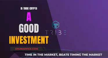 Tribe Crypto: Smart Investment or Risky Gamble?