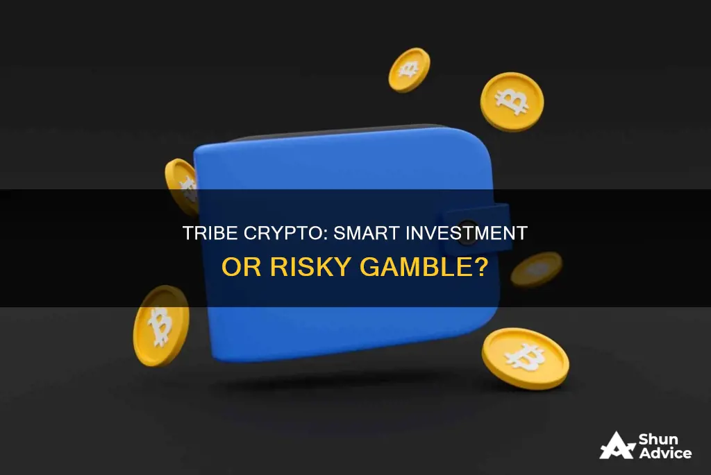 is tribe crypto a good investment